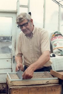 A man wearing glasses is cutting something in a greenhouse