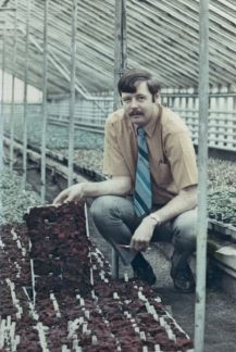 A man is kneeling down in a greenhouse looking at plants.