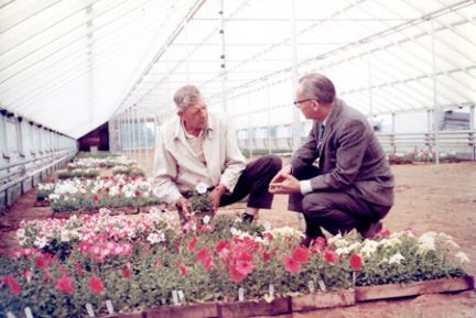 Two men are looking at flowers in a greenhouse