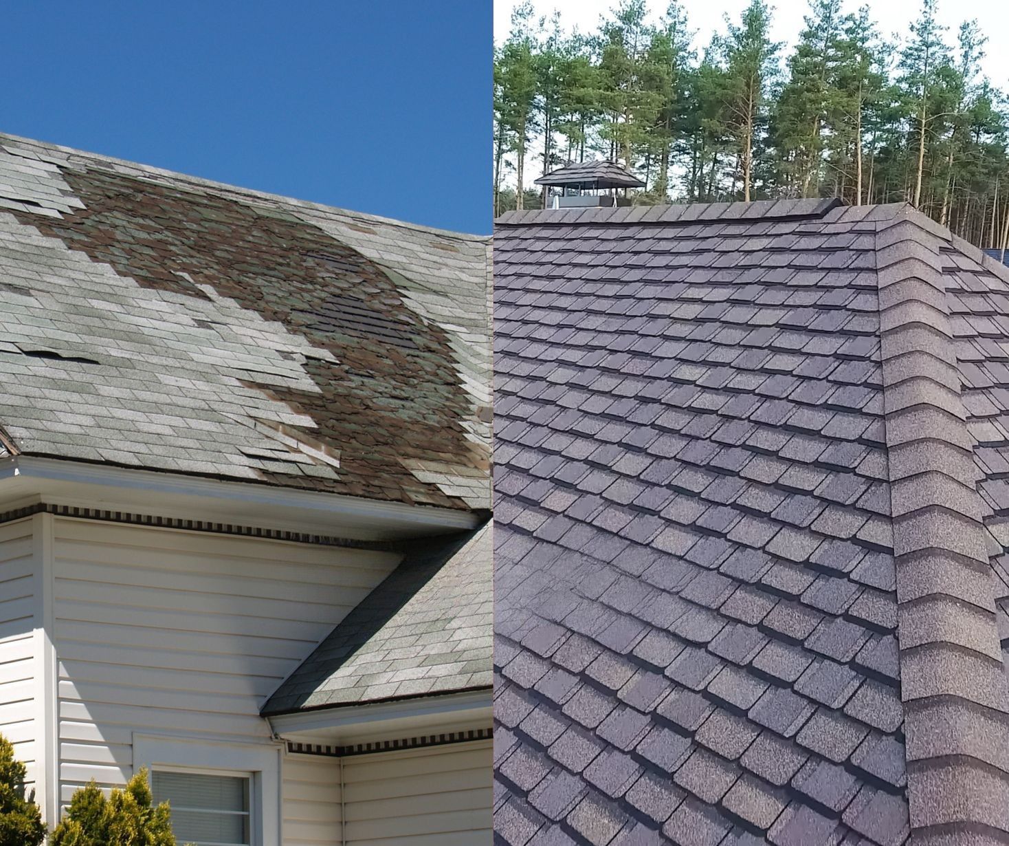 Side-by-side roof comparison: worn, mossy shingles on left; new gray asphalt shingles on right.