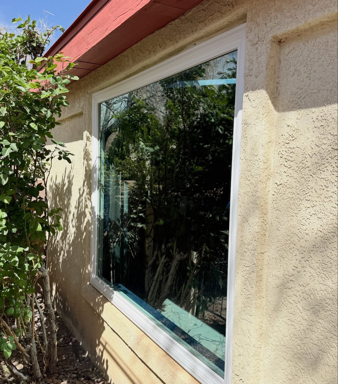 Large window with white trim on a beige stucco house, reflecting trees in bright sunlight