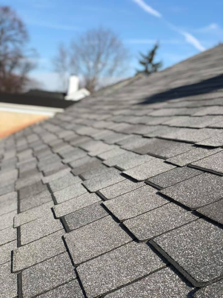 Close-up of gray shingle roof against a blue sky with trees in the background