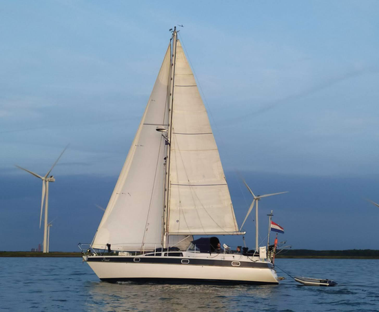 Sailing vessel Piewiet with mainsail en genoa