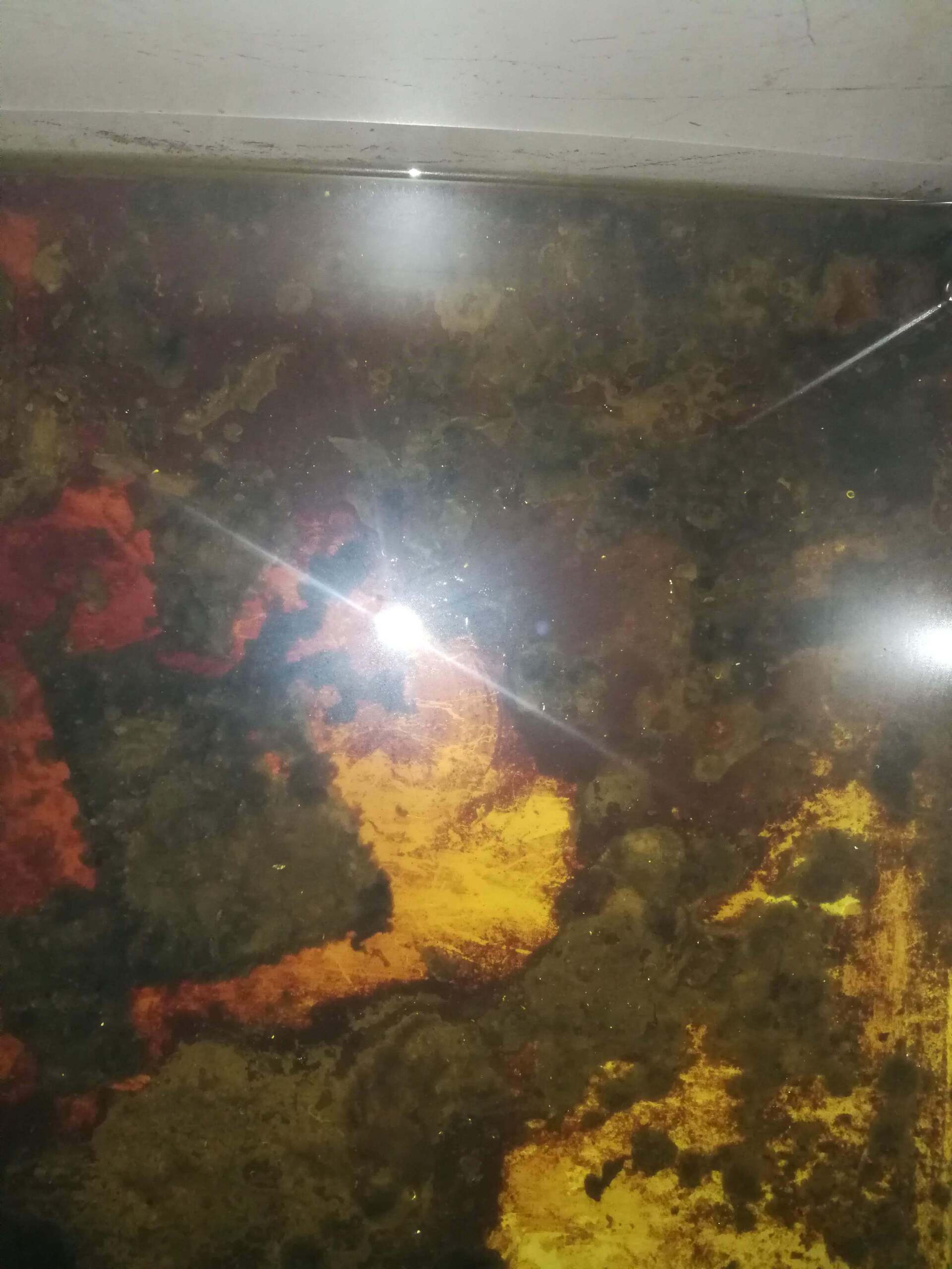 bio-diesel