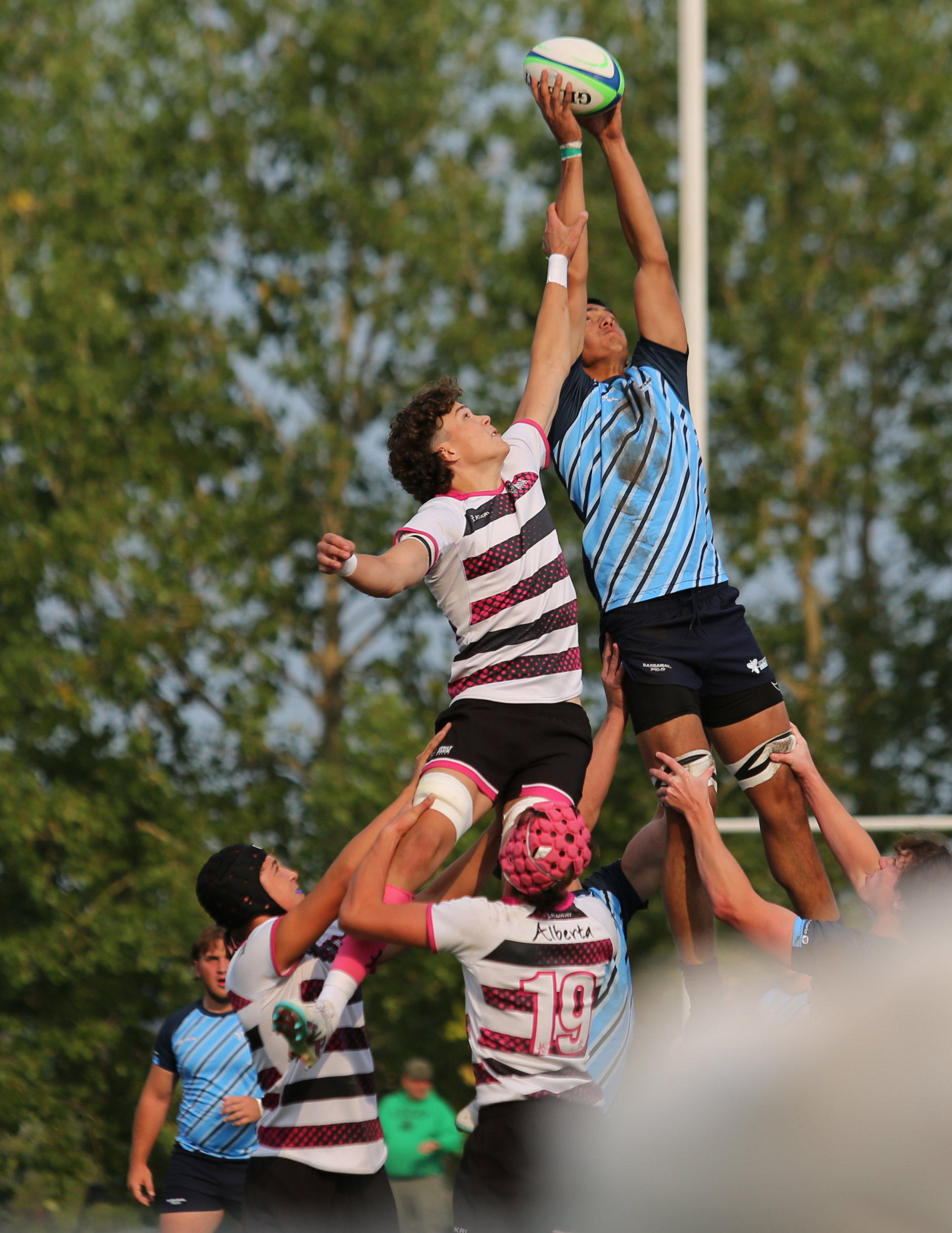 Rugby players in white-striped and blue-patterned jerseys compete for a ball lifted high in the air during a lineout.