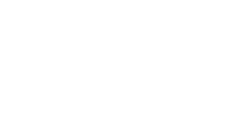 Mostly blank white screen with a thin black horizontal line near the top and a small tan vertical mark on the left.