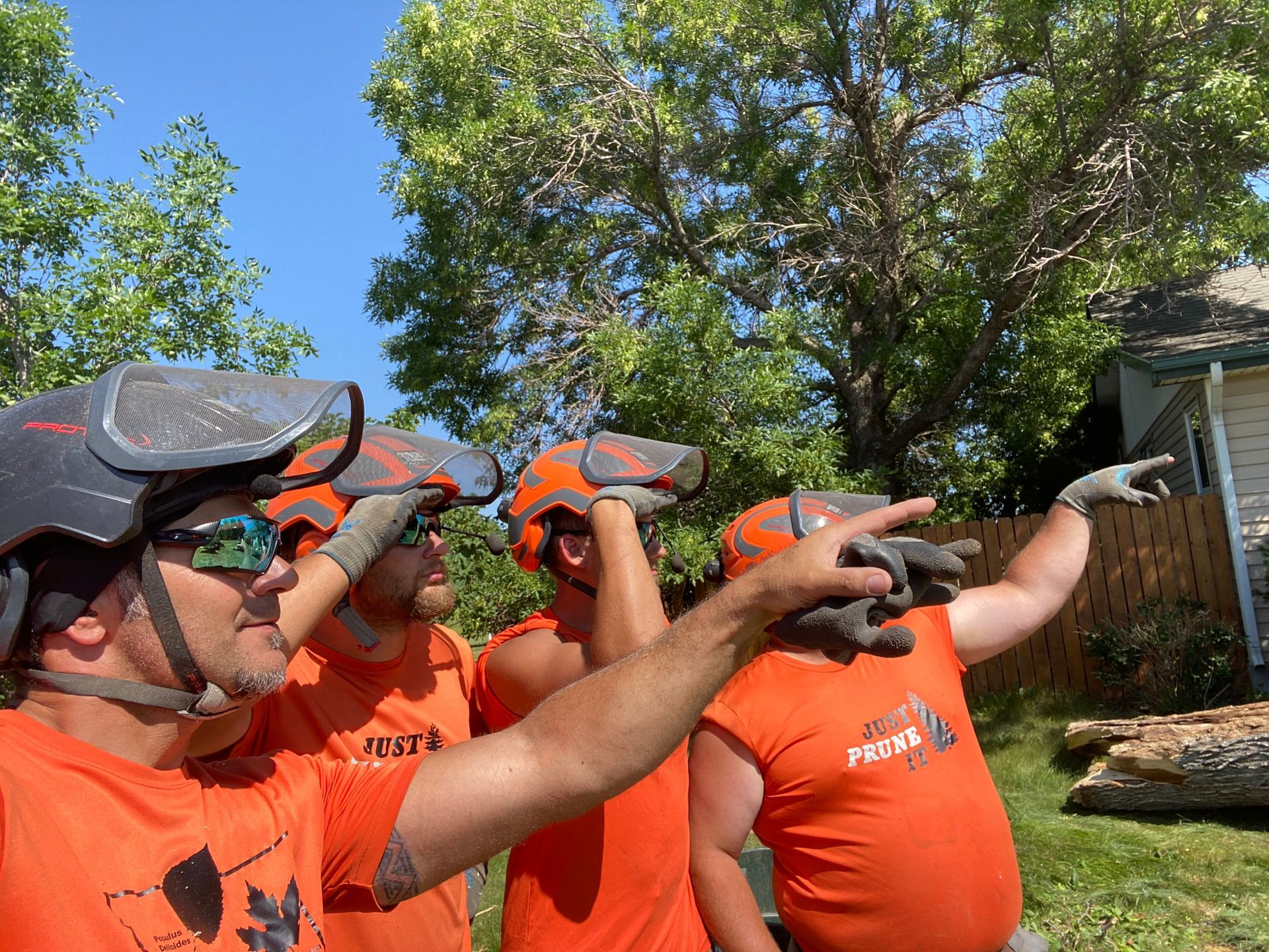 Three workers in orange shirts and safety helmets point at something outdoors near trees and a fence.