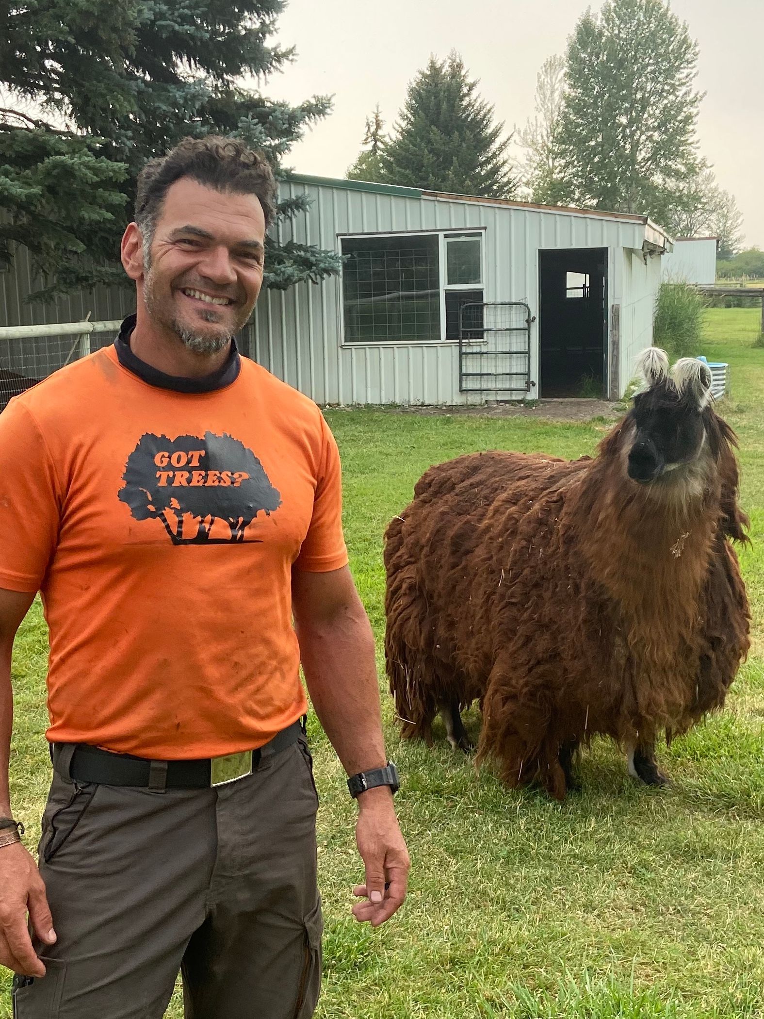 Man in orange shirt standing beside a shaggy llama on grass in front of a small white building