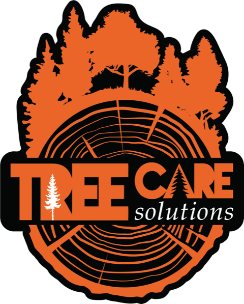 Orange and black TreeCare Solutions logo with trees and a tree-ring design