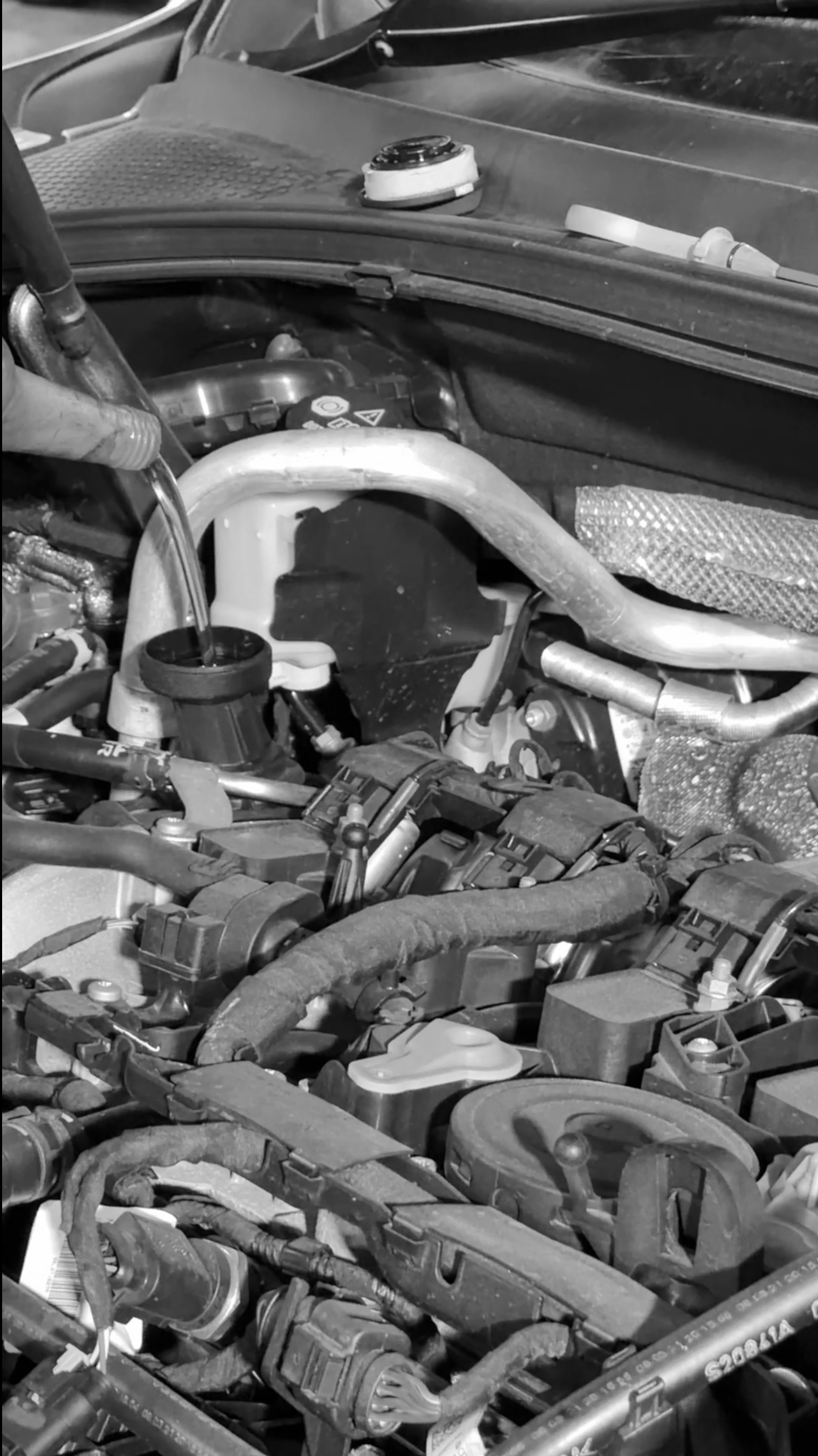 Full car service by mechanic at Orewa Automotive