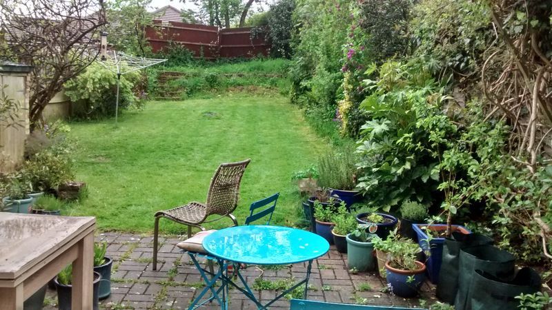 Garden before has large sloping lawn and no interesting planting