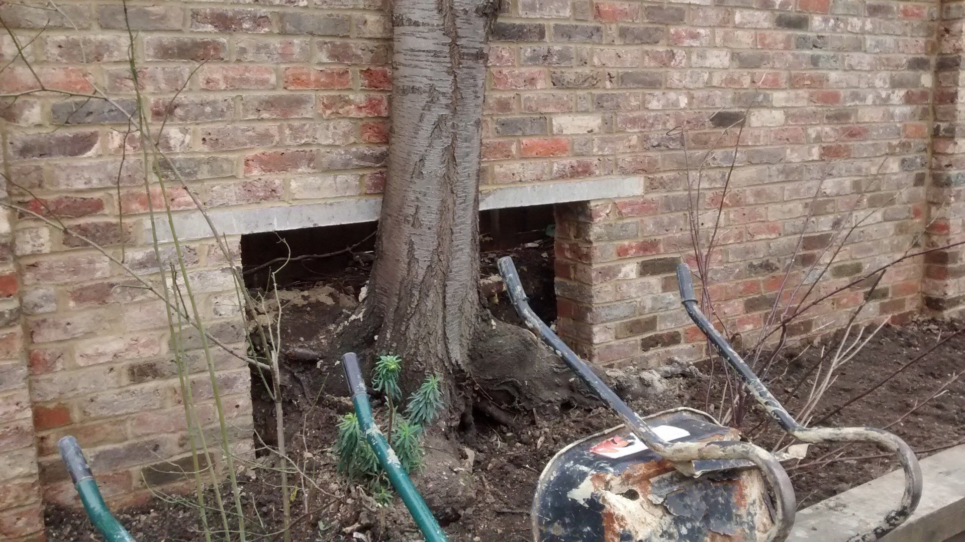 Garden design Clapton, during 2