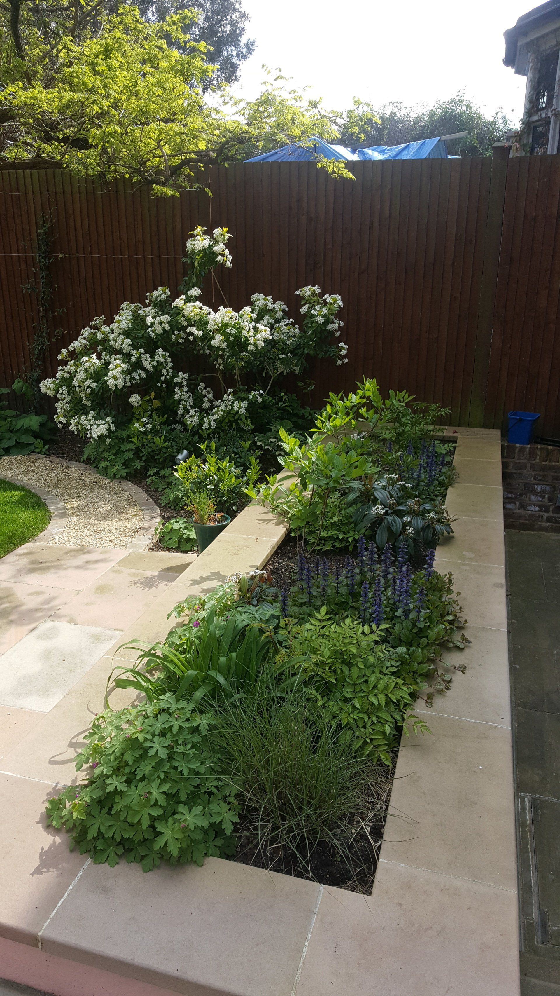 London garden design, Hackney
