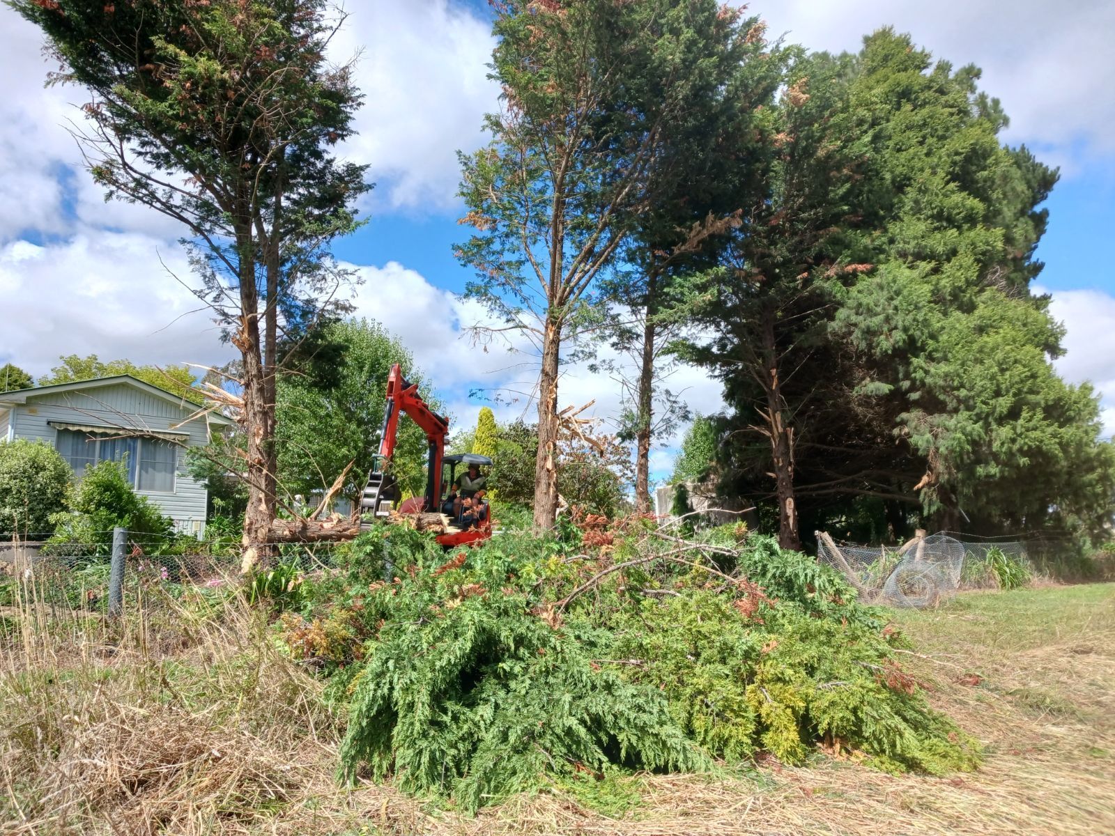 Tree Pruning — Bathurst, NSW — Accurate Tree Services 