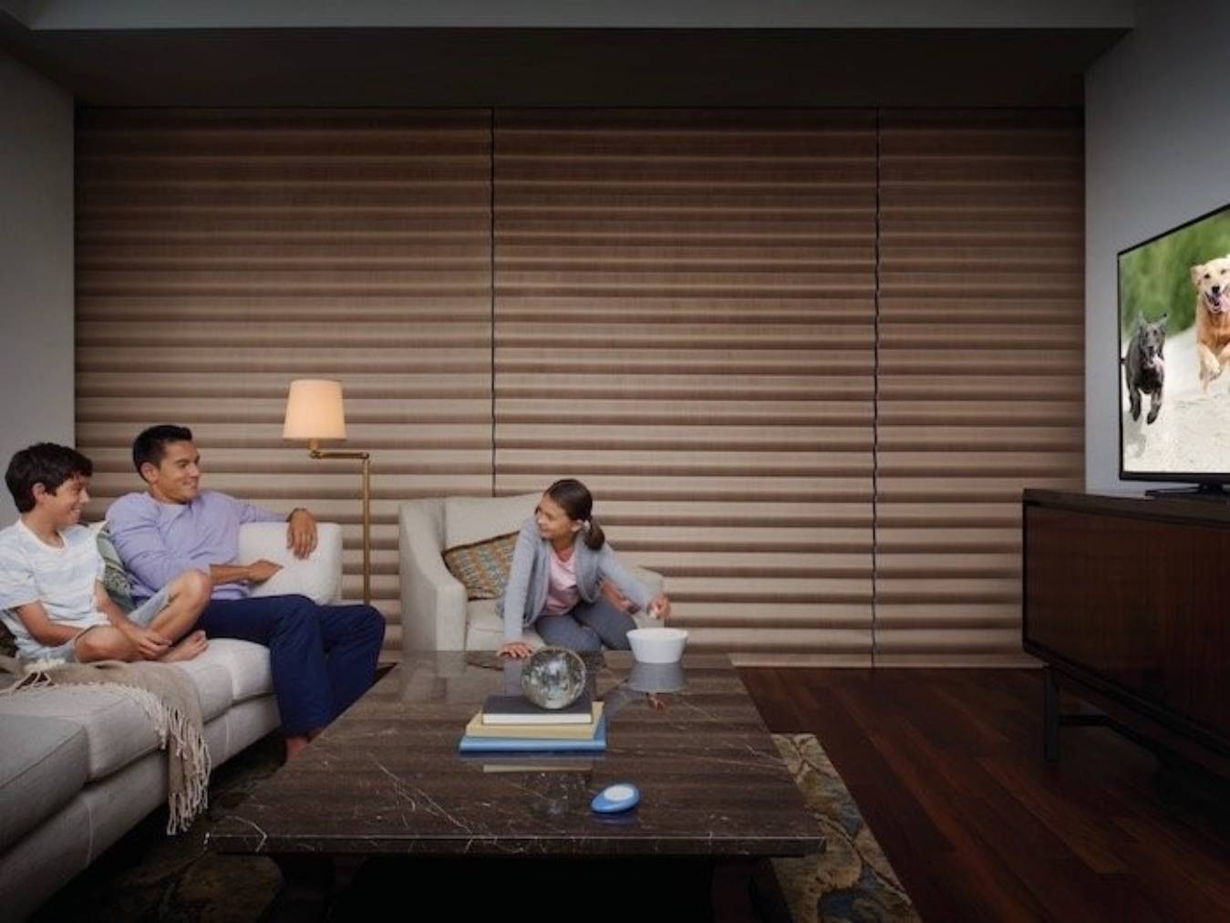 Custom Hunter Douglas blackout shades for homes near San Diego, California by Harmony Blinds and Shutters
