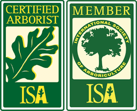ISA