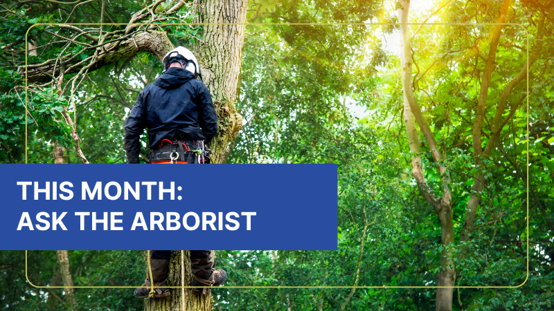 ask the arborist - this month