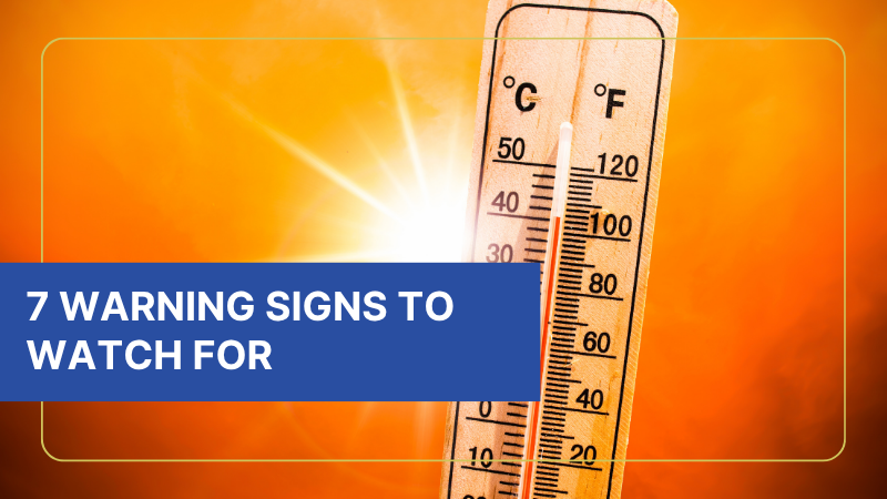 how extreme heat affects your trees