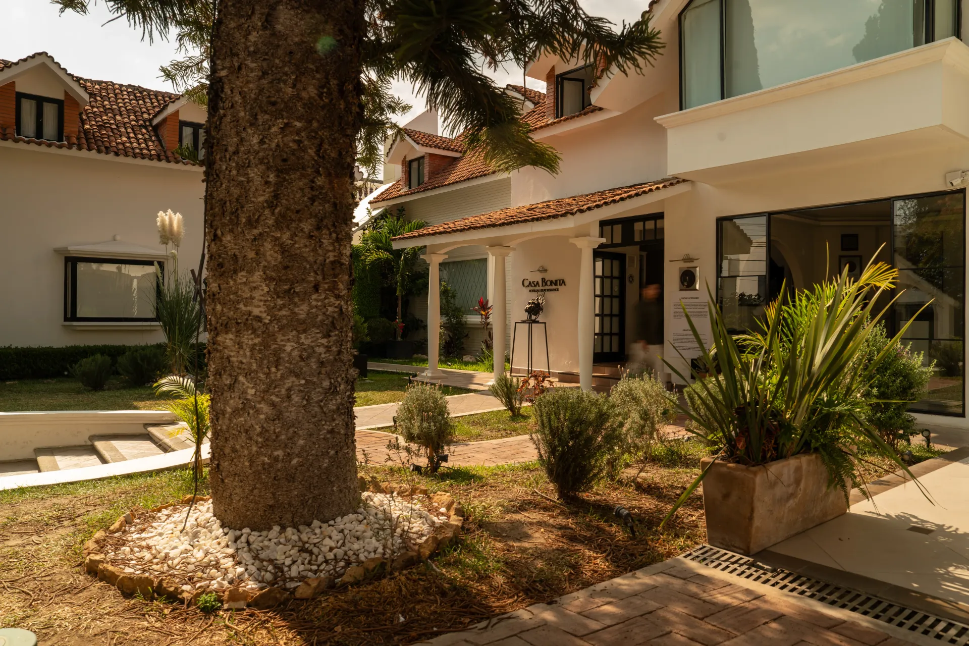 Patio de un moderno edificio de apartamentos con un gran árbol, jardineras y senderos sombreados.