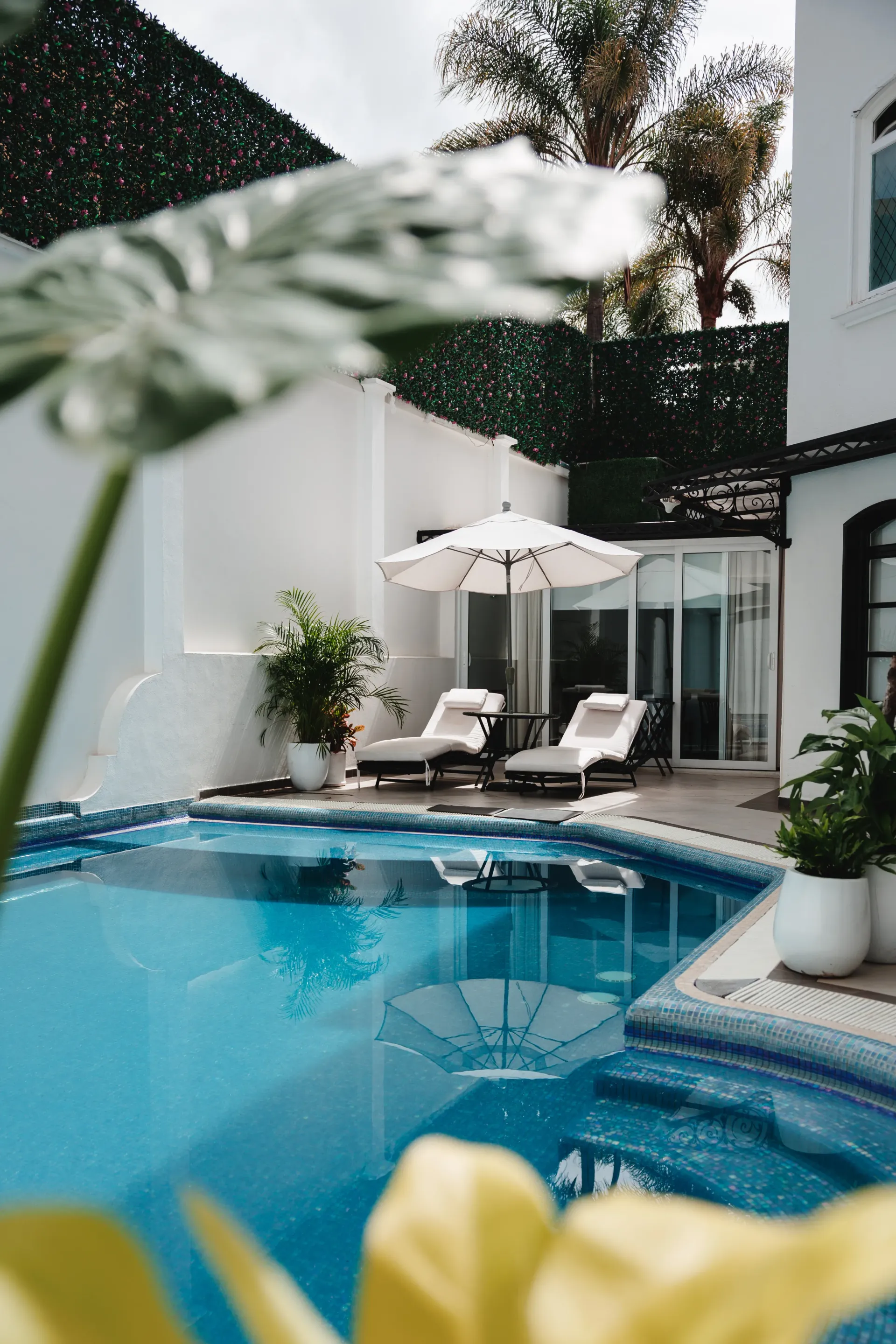 Patio de villa moderna con piscina azul, tumbonas blancas, sombrilla y vegetación tropical.