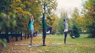 advanced-spline-and-sports-medicine-service-