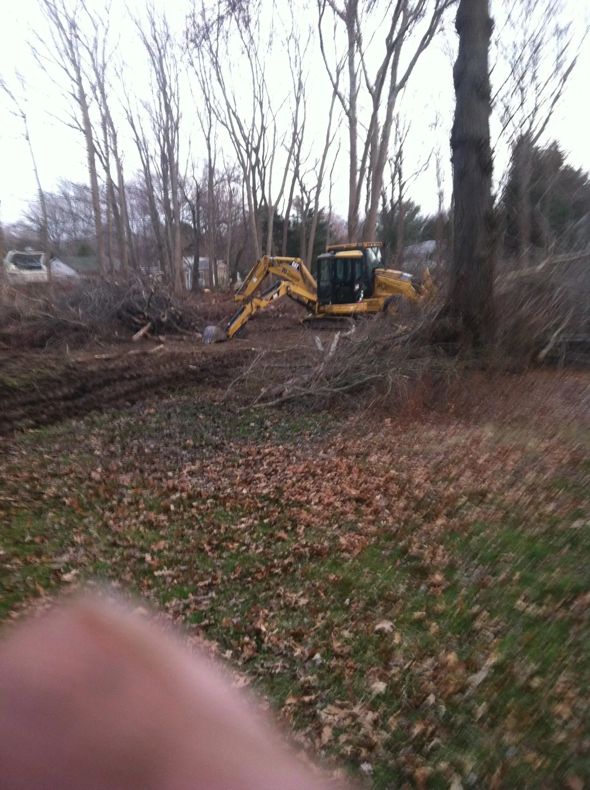 Yellow excavator clearing brush near trees.