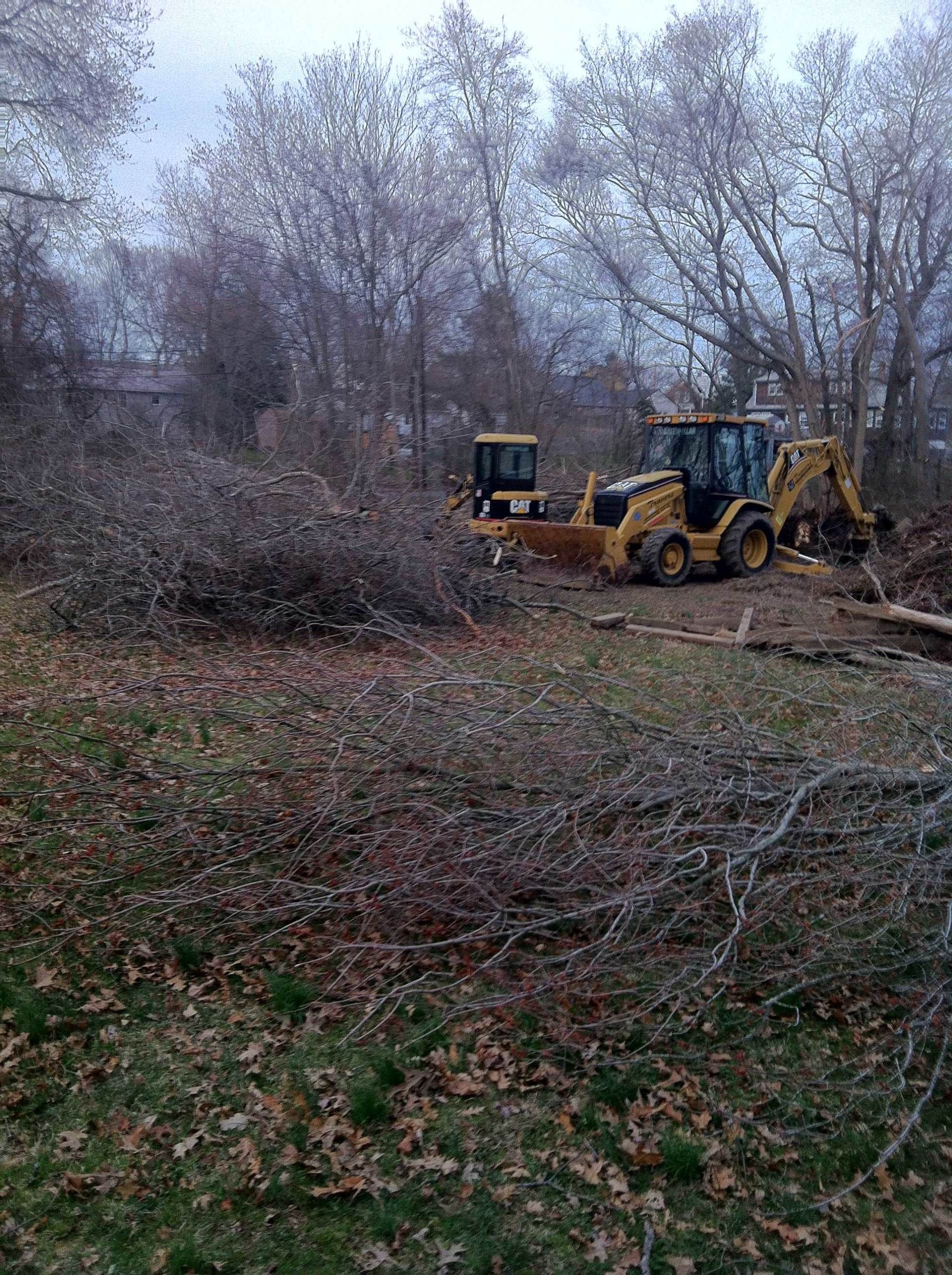 Two yellow construction vehicles clearing brush in a wooded area.