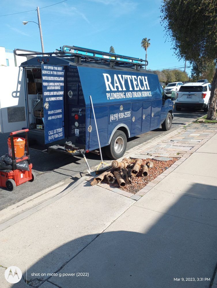 Blue Raytech service van parked on a street with equipment.  Logs sit in a nearby garden bed.
