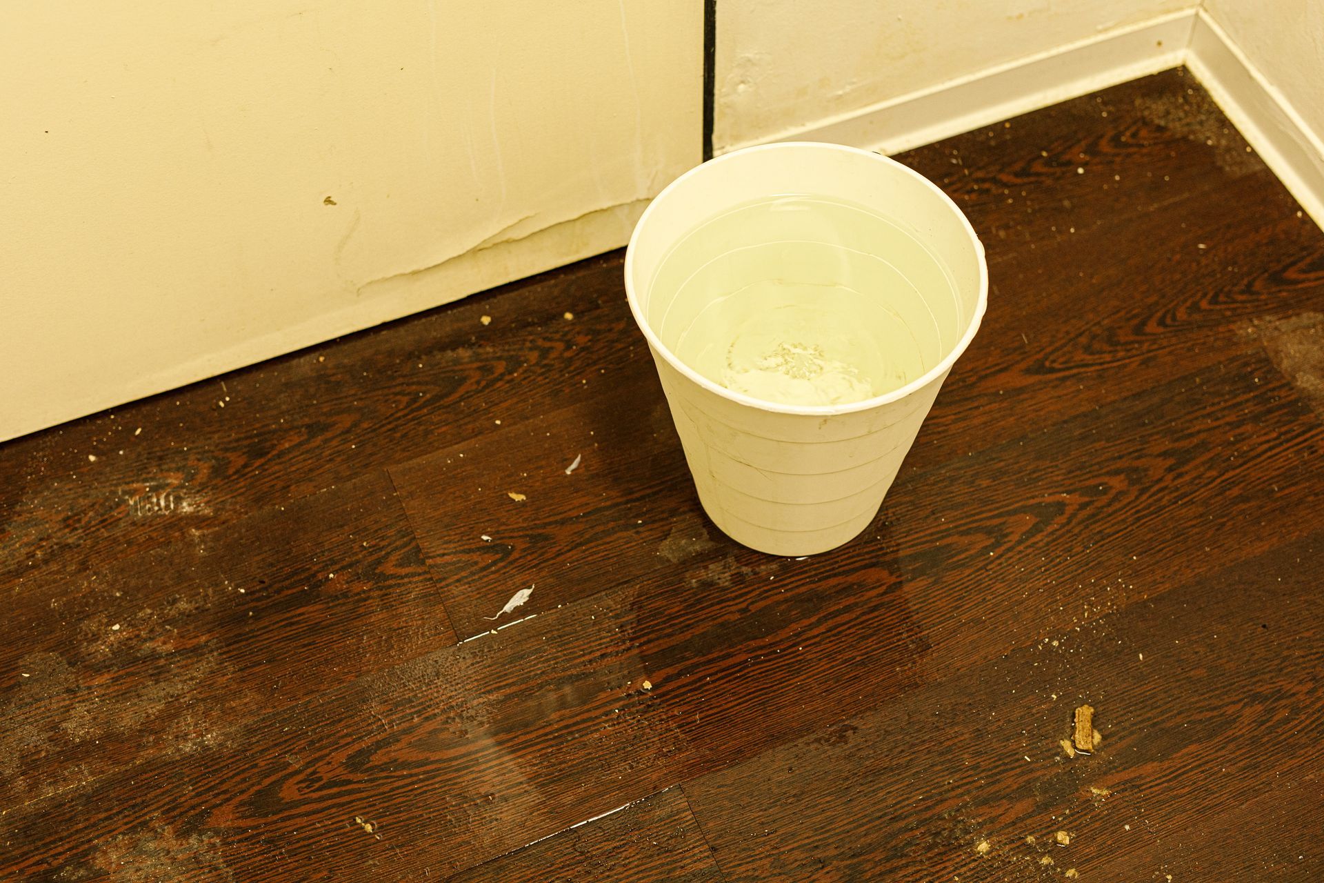 A white paper cup filled with water sits on a dirty wooden floor.
