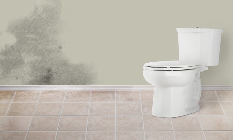 Bathroom with mold on wall near toilet showing need for professional flood water damage cleanup