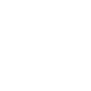 Schalenversiegler