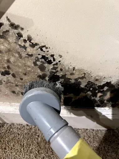Fire & Water Restoration