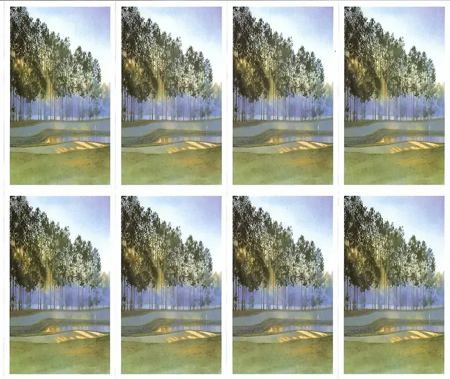 Prayer Cards-- Rows of trees, sunlight, and water reflecting the sky.