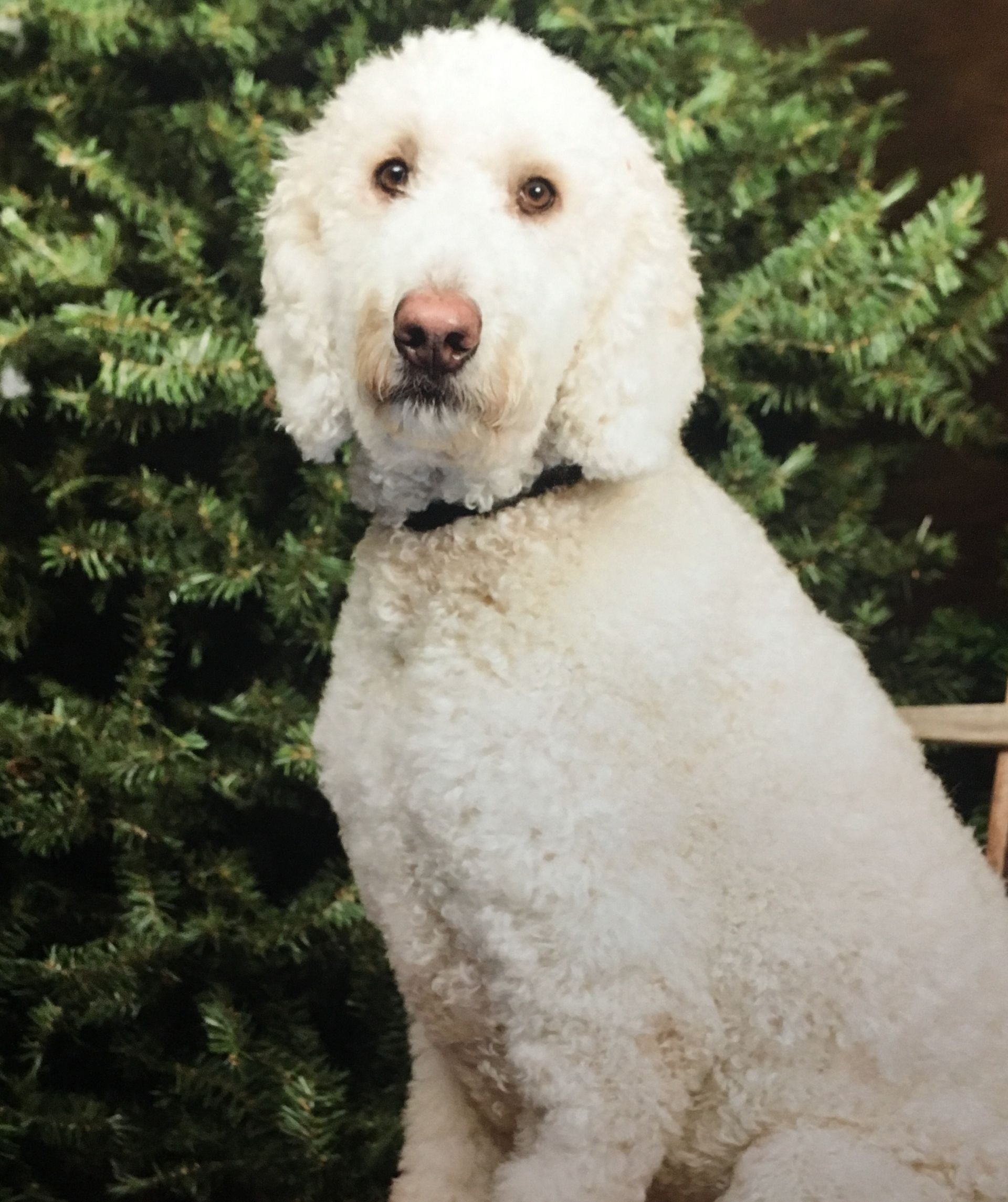 Staff Photo