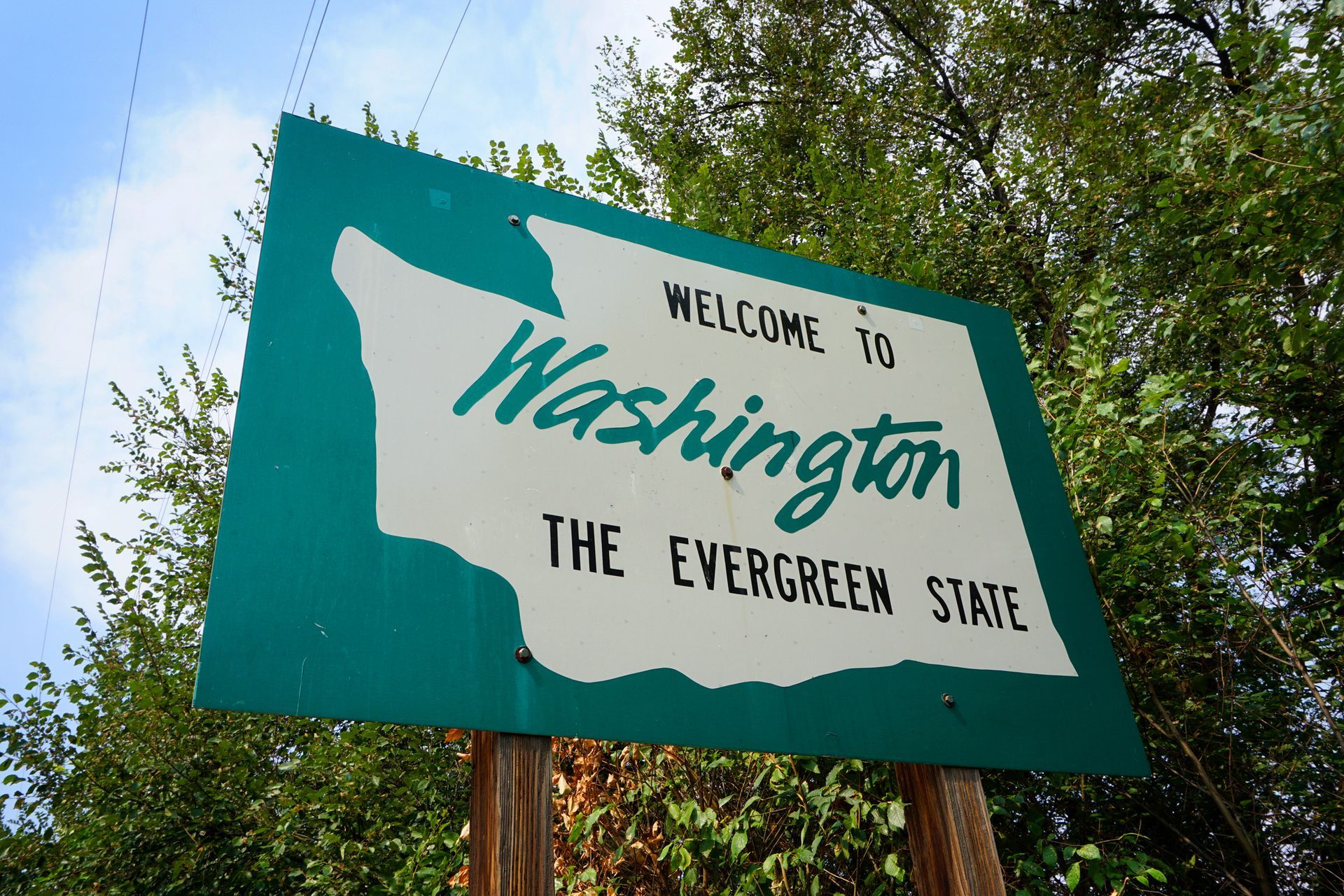 Woman Holding Driver License — Puyallup, WA — McCallum License Agency Woman Holding Driver License — Puyallup, WA — McCallum License Agency