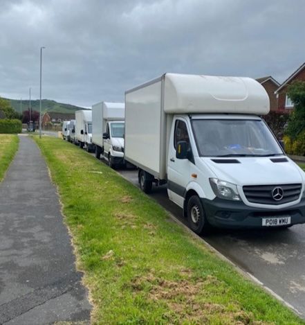 A line of white moving trucks parked on the side of a residential street.