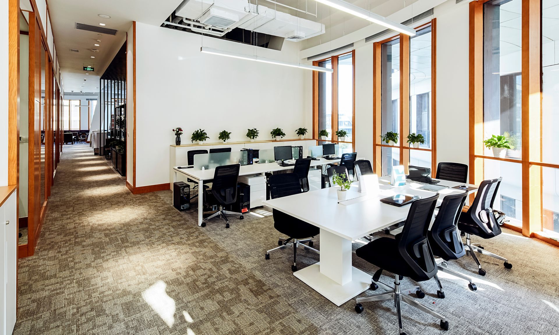 Modern open office with white desks, black ergonomic chairs, potted plants, and large sunlit windows