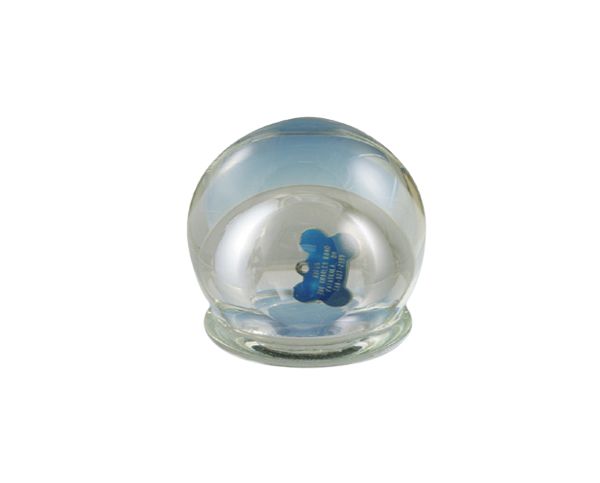 Small glass snow globe with a blue teddy bear inside on a white background