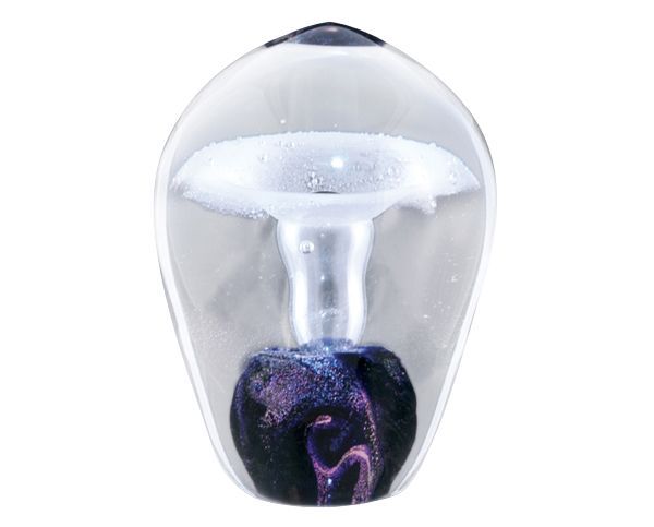 Transparent dental aligner with purple impression inside a clear mold