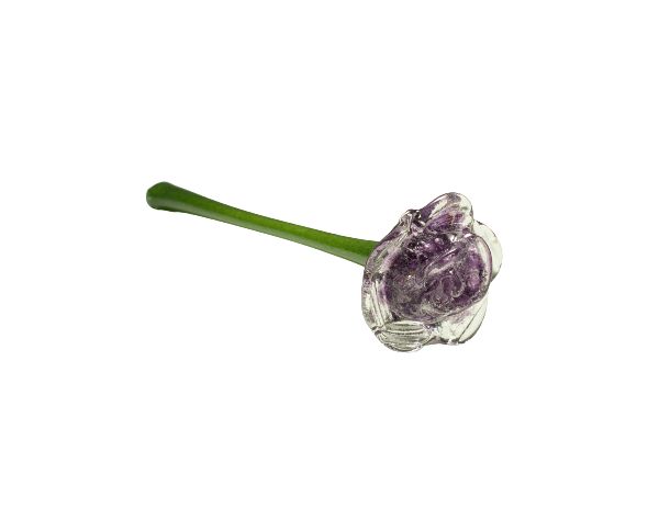 Purple flower bud with a long green stem on a white background
