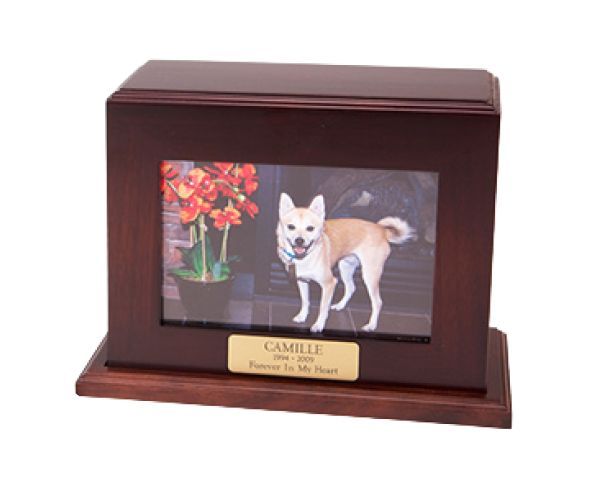 Wooden pet memorial box with a photo of a tan dog beside red flowers and a nameplate.