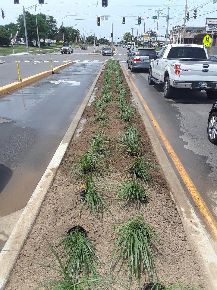 Landscaping for Coldwater Road by Harlow Enterprises Incorporated