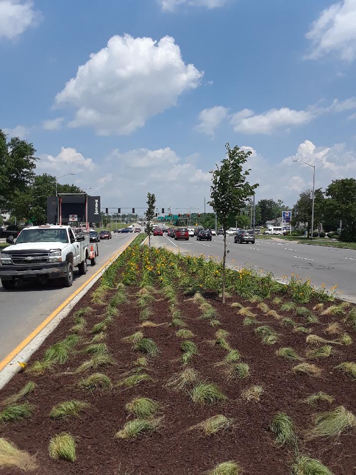 Completed landscaping for Coldwater Road