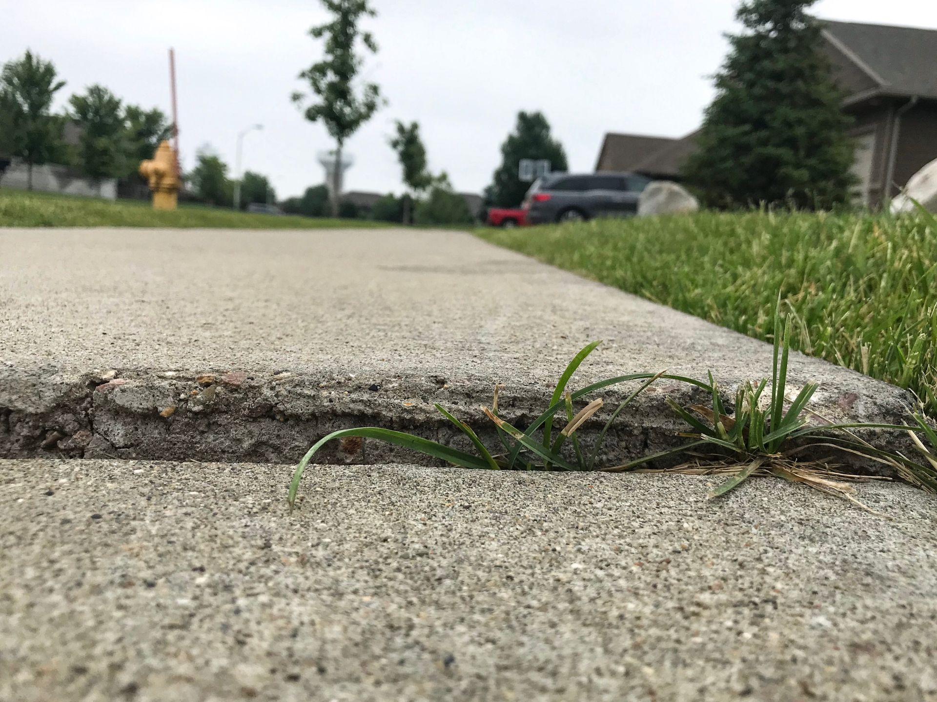 Cracked concrete sidewalk with grass growing through the gap, near a street and parked cars.