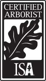 ISA Certified Arborist