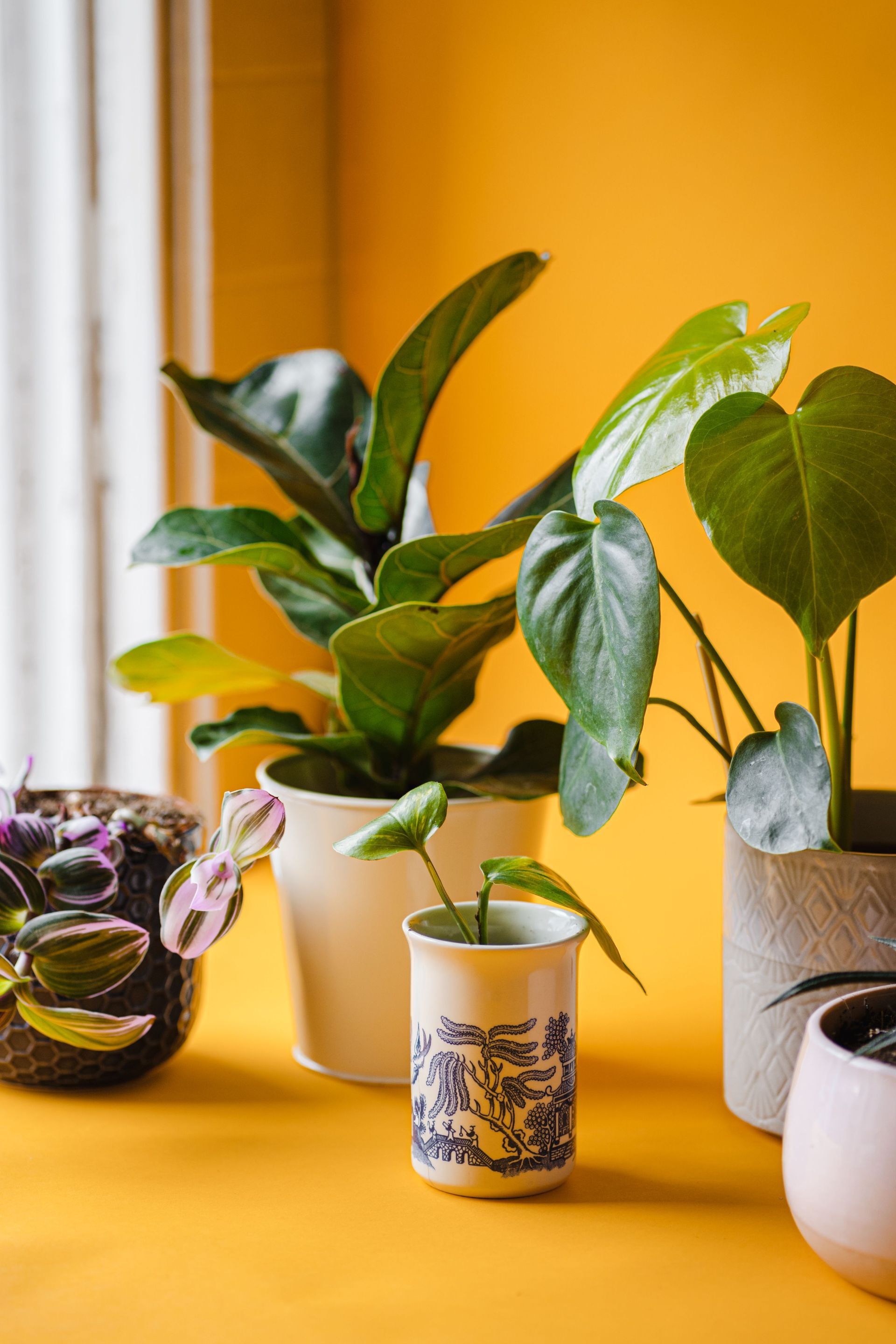 small business growth