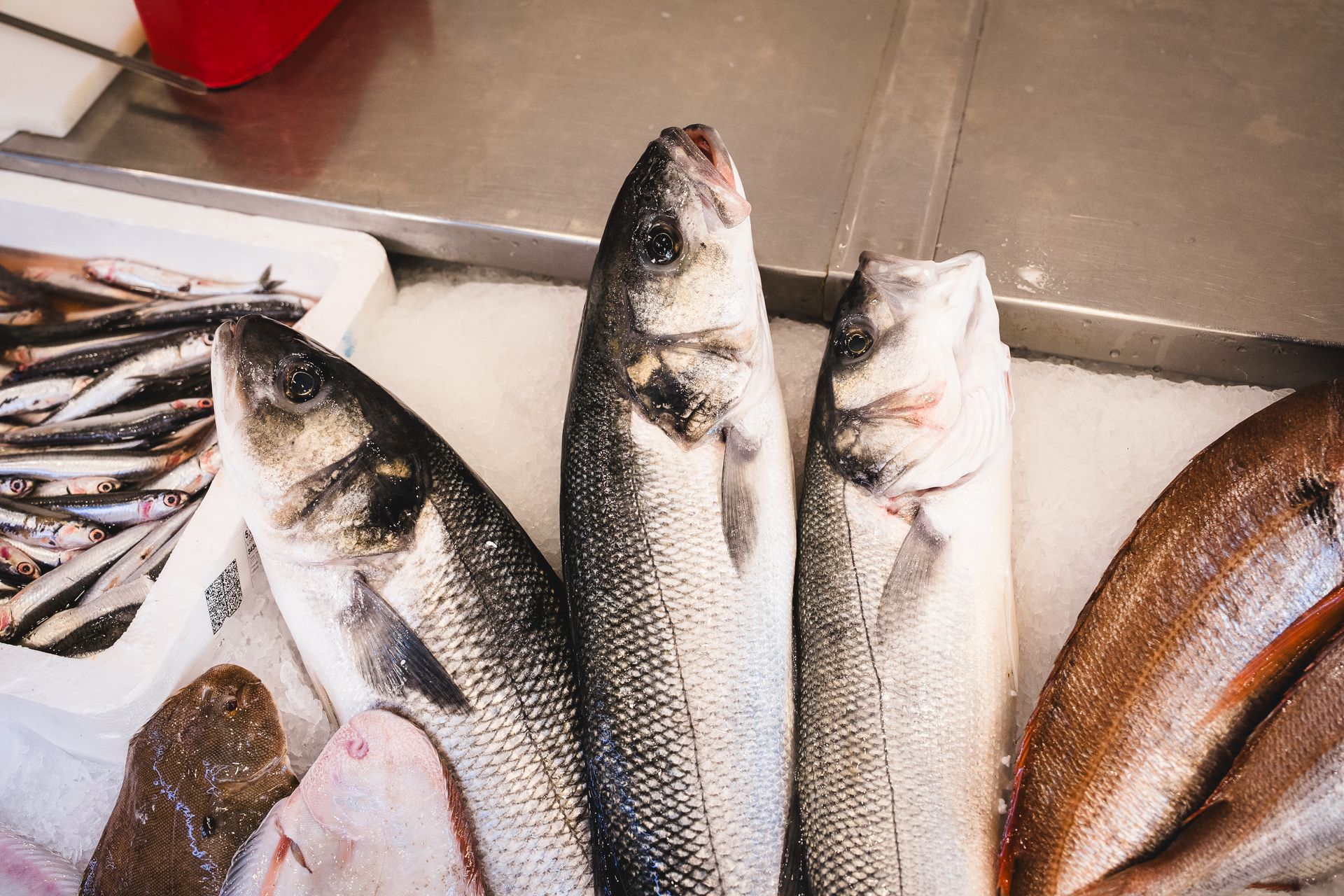 Pesce fresco intero esposto sul ghiaccio al banco del mercato.