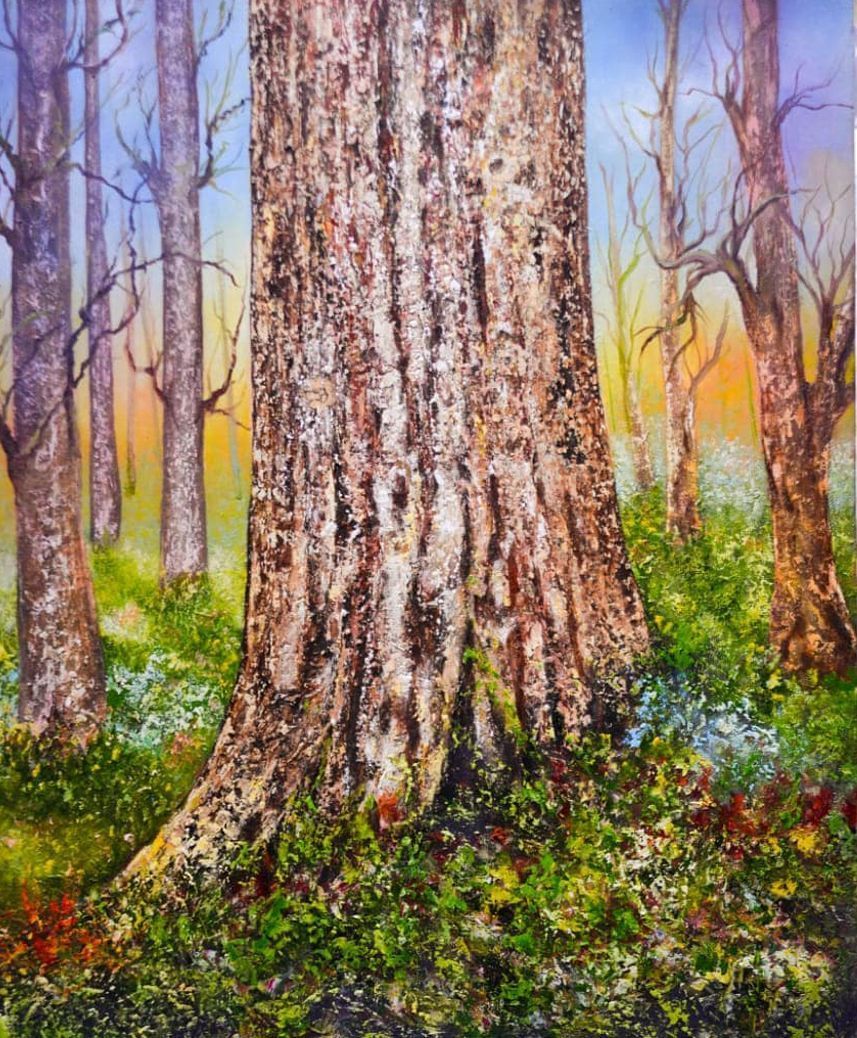 Sunlit woodland with tall bare trees, green undergrowth, and a large textured trunk in the foreground