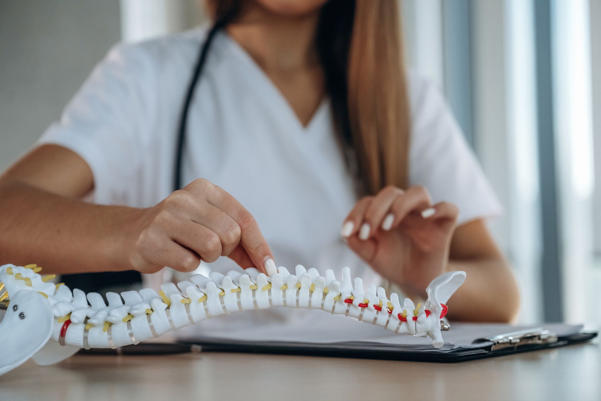 A female doctor is holding a model of a spine.