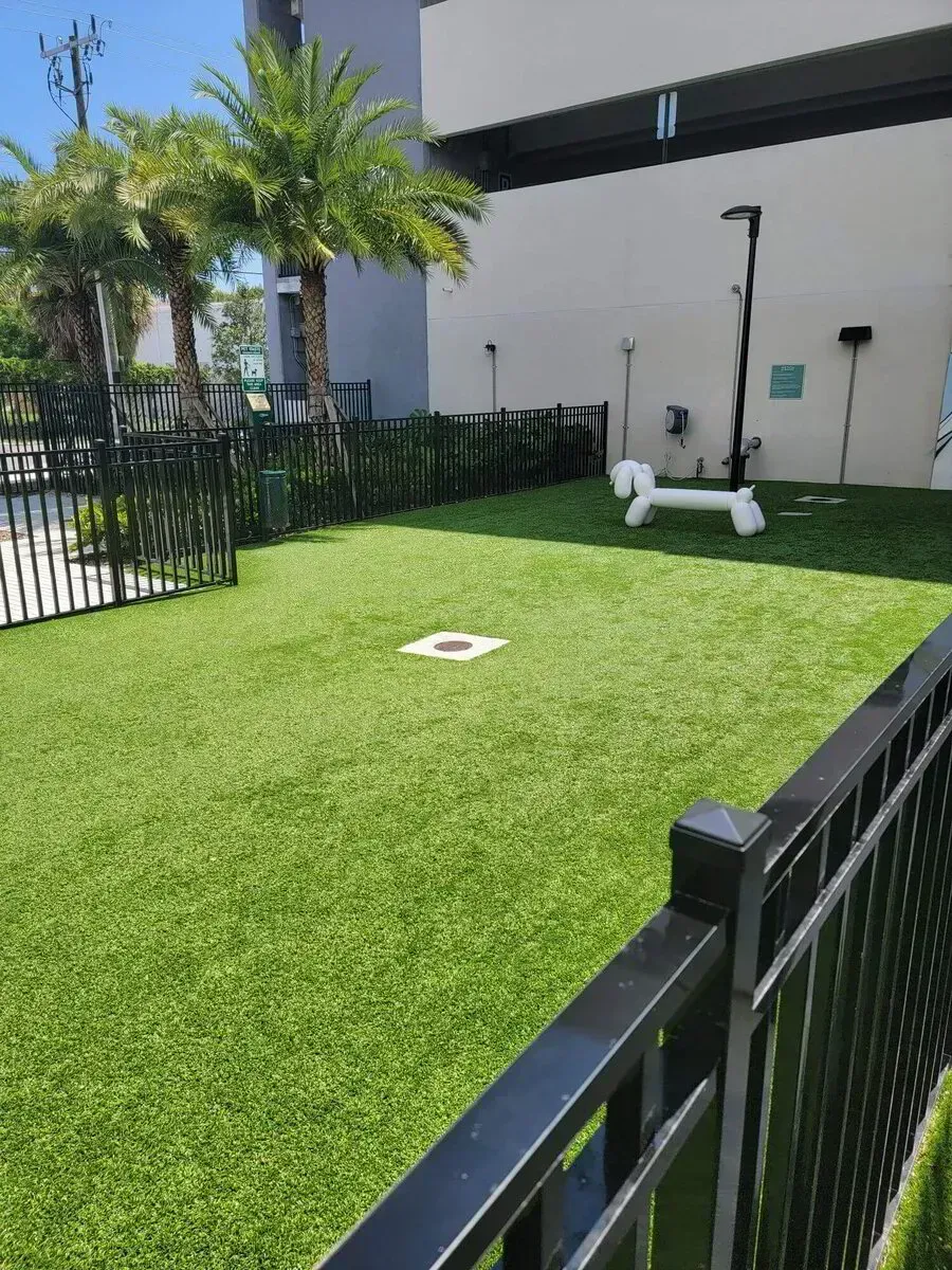 Small fenced grassy courtyard with palm trees, a white wall, and a playground spring rider